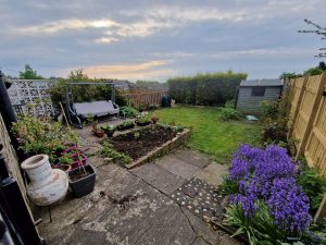 Benefits of Gardening: Why You Should Start a Garden This Year