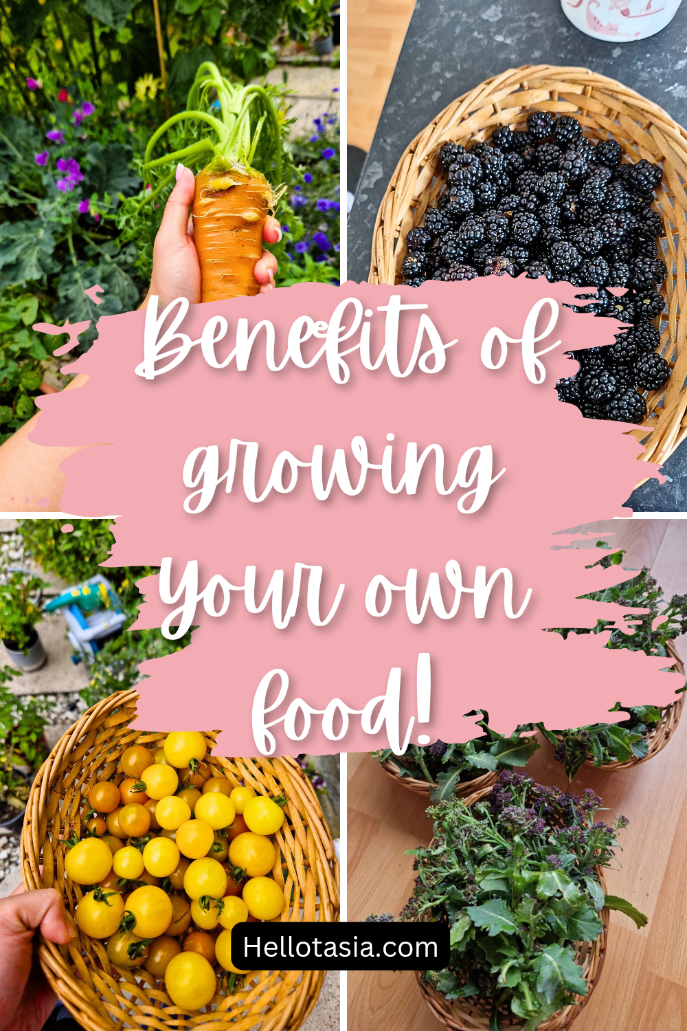 Benefits of Growing Your Own Food