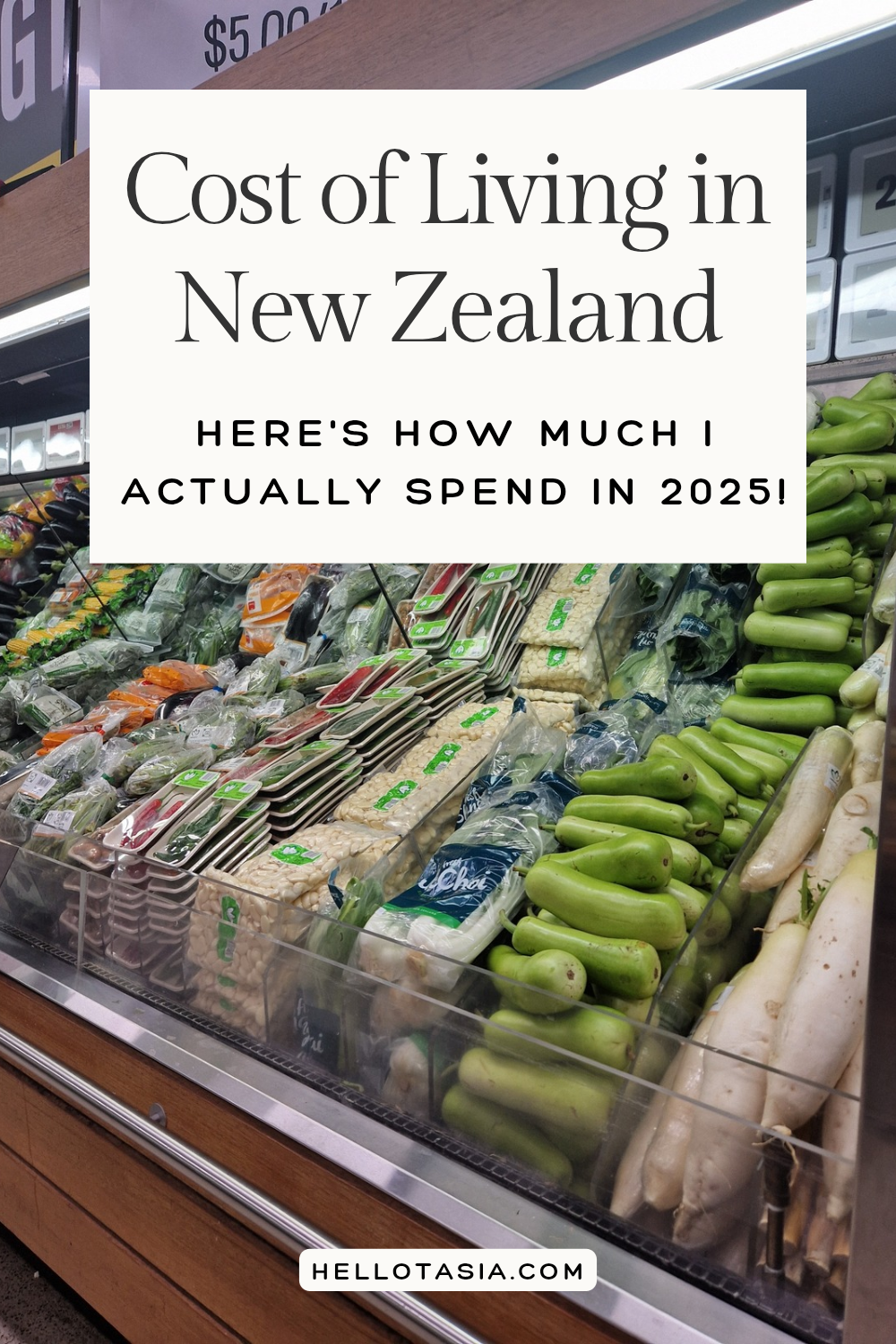 Cost of Living in New Zealand: Here’s How Much I Actually Spend in 2025