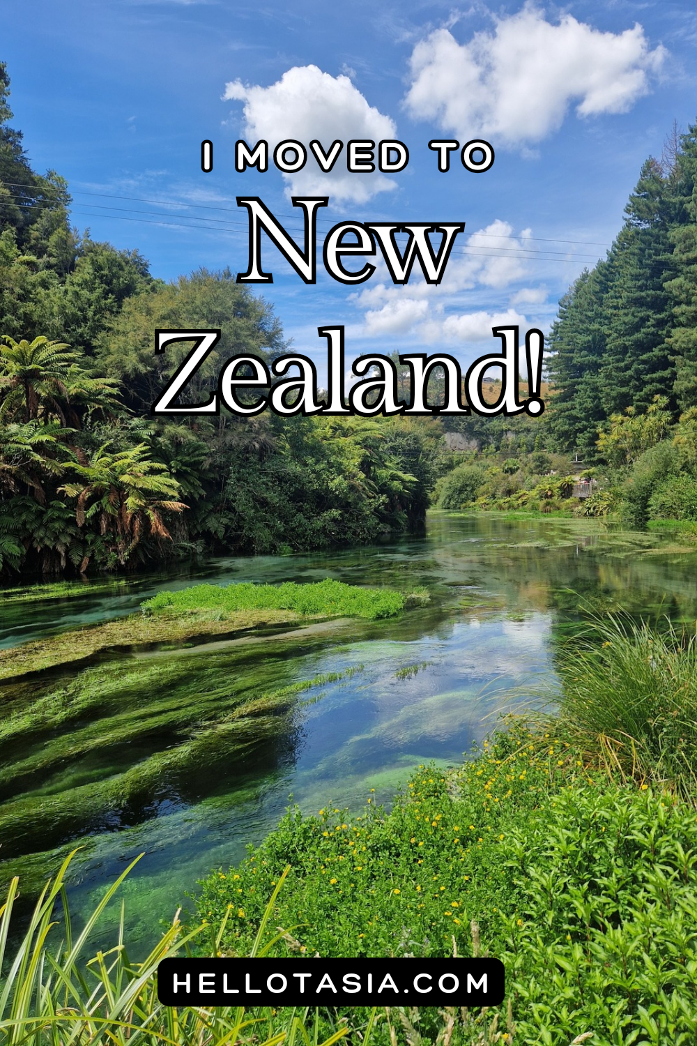 I Moved to New Zealand!