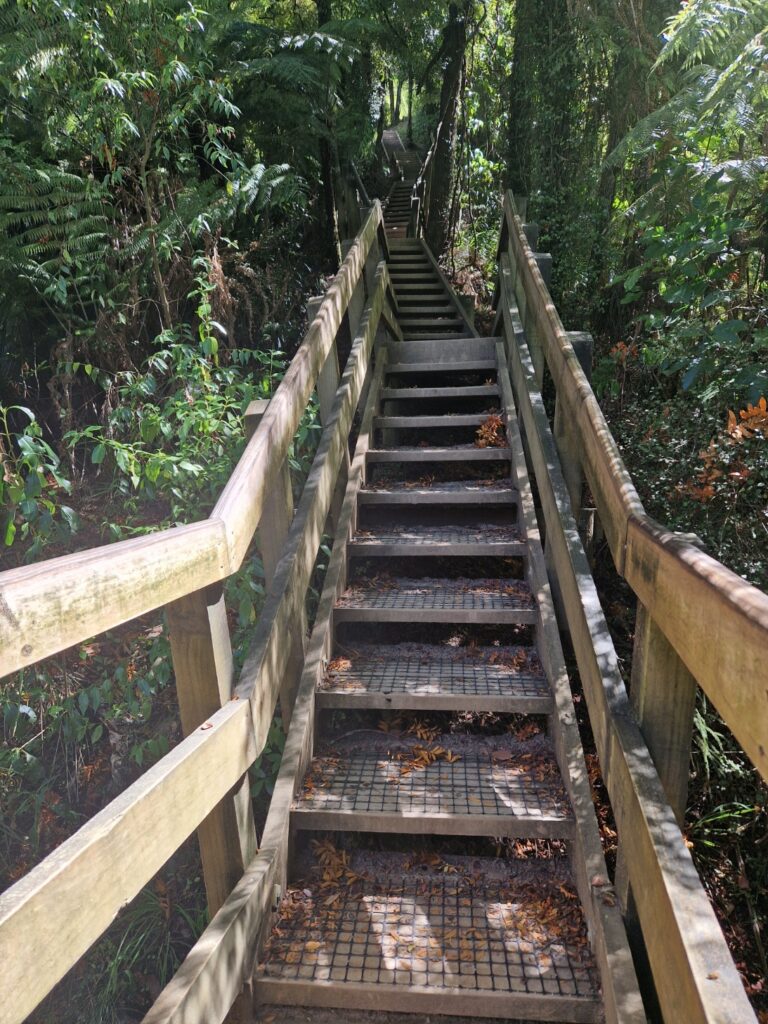 pictures of stairs on the hakarimata summit walking track