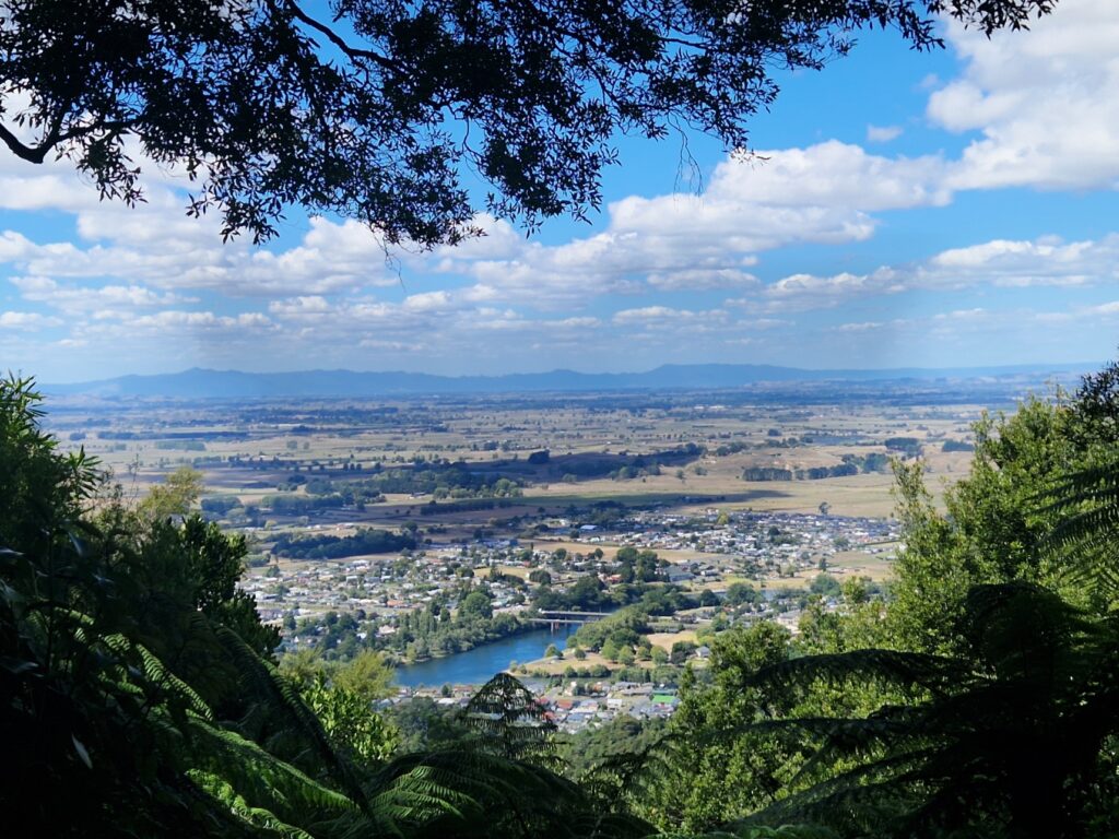 Image of a scenic landscape viewed from a high vantage point in Hakarimata Summit Track. The foreground features a dense green forest with towering trees and lush ferns. Beyond the forest, a river winds through a vast expanse of fields, small towns, and scattered buildings. In the distance, rolling hills and mountains stretch across the horizon beneath a bright blue sky with fluffy white clouds. The composition showcases the contrast between the natural wilderness and the cultivated land beyond, highlighting the beauty of the landscape.
