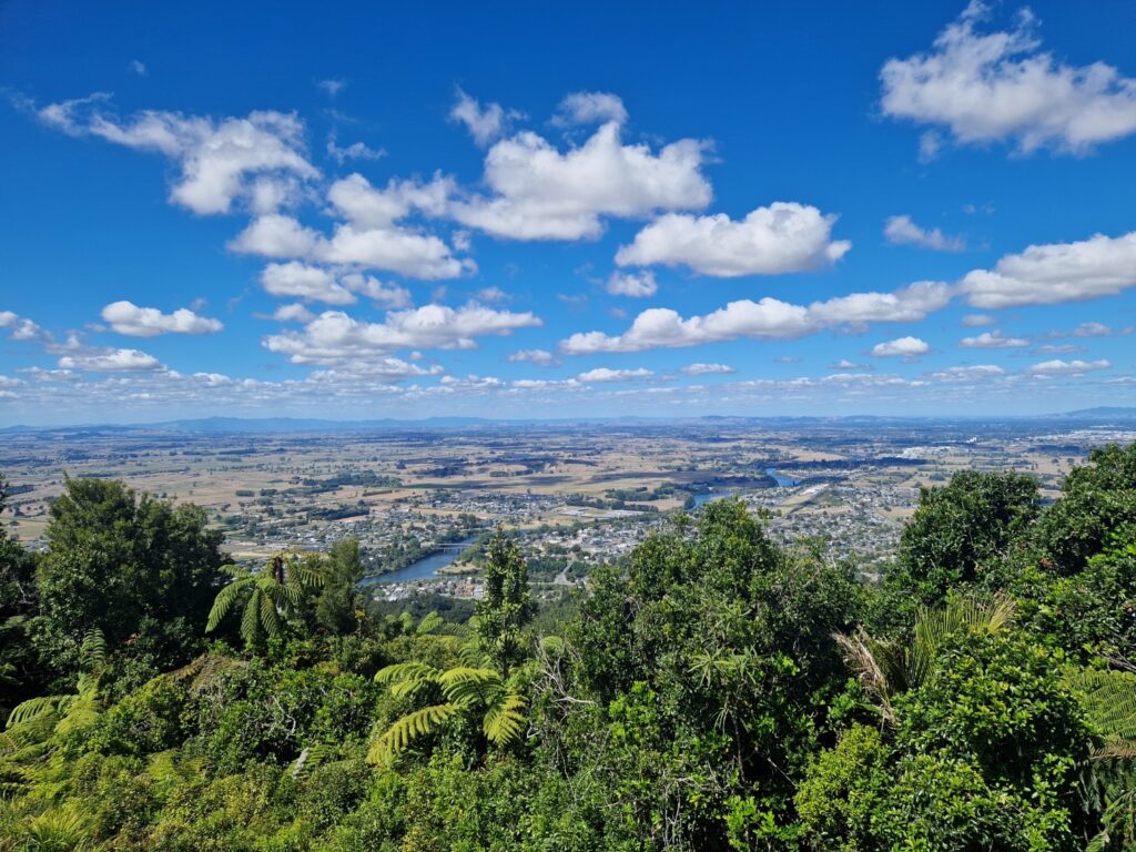 Image of a scenic landscape viewed from a high vantage point in Hakarimata Summit Track. The foreground features a dense green forest with towering trees and lush ferns. Beyond the forest, a river winds through a vast expanse of fields, small towns, and scattered buildings. In the distance, rolling hills and mountains stretch across the horizon beneath a bright blue sky with fluffy white clouds. The composition showcases the contrast between the natural wilderness and the cultivated land beyond, highlighting the beauty of the landscape.