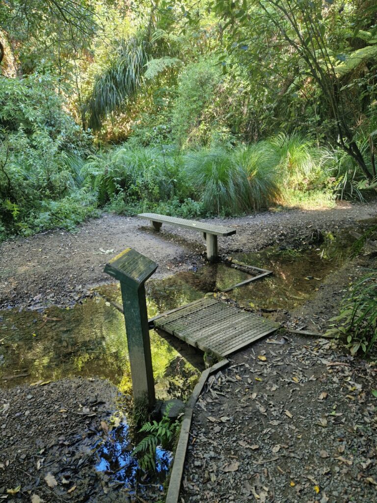 a picture of a small stream with a partial bridge in the middle of lush jungle area