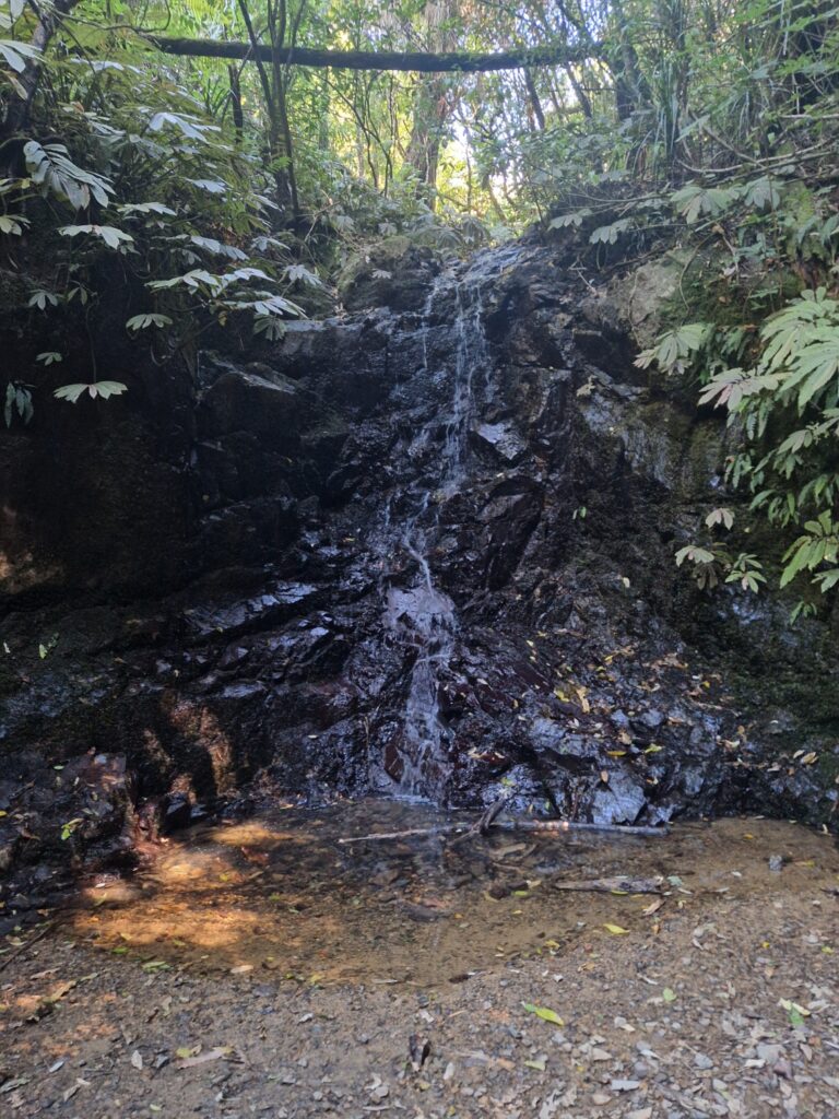 second waterfall in Hakarimata Track, cascading drips of water on the stones.