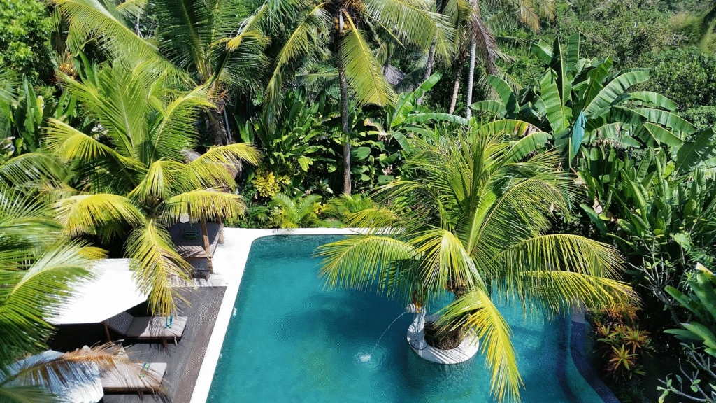 Image of Alamdini Resort in Ubud, Bali, featuring a tranquil swimming pool surrounded by lush tropical greenery. The pool has a small island with a palm tree at its center, adding to the serene ambiance. Several lounge chairs with umbrellas are arranged along the deck, providing a relaxing space for guests. Tall palm trees and dense foliage create a natural backdrop, enhancing the peaceful and secluded atmosphere of the resort.